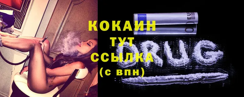 что такое   Соликамск  КОКАИН Fish Scale 