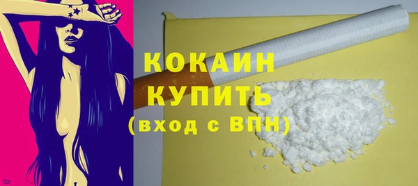 соль ск Пересвет