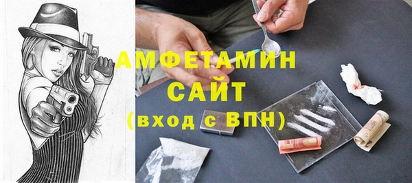 соль ск Пересвет