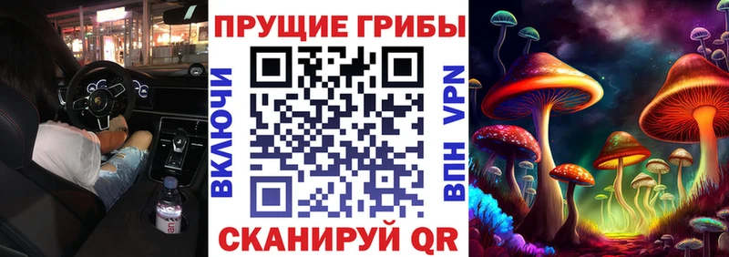 ссылка на мегу зеркало  Соликамск  Галлюциногенные грибы ЛСД  цены наркотик 